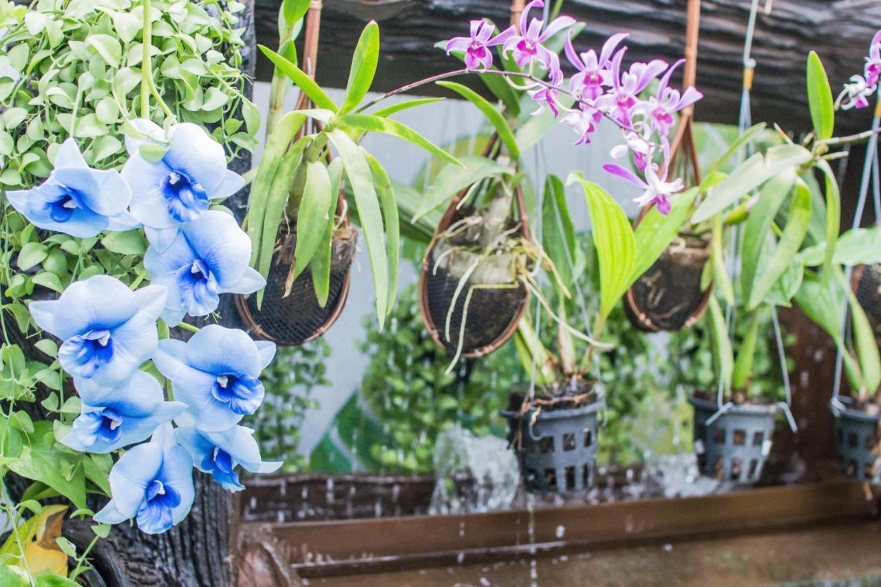 Villa Siam & Spa Bangkok Eksteriør bilde